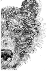 Art by Agostina Small Print 8x10