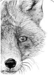 Art by Agostina Small Print 8x10